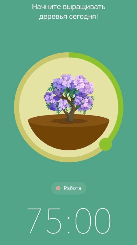 Как я делаю за 4 часа больше, чем раньше за 8