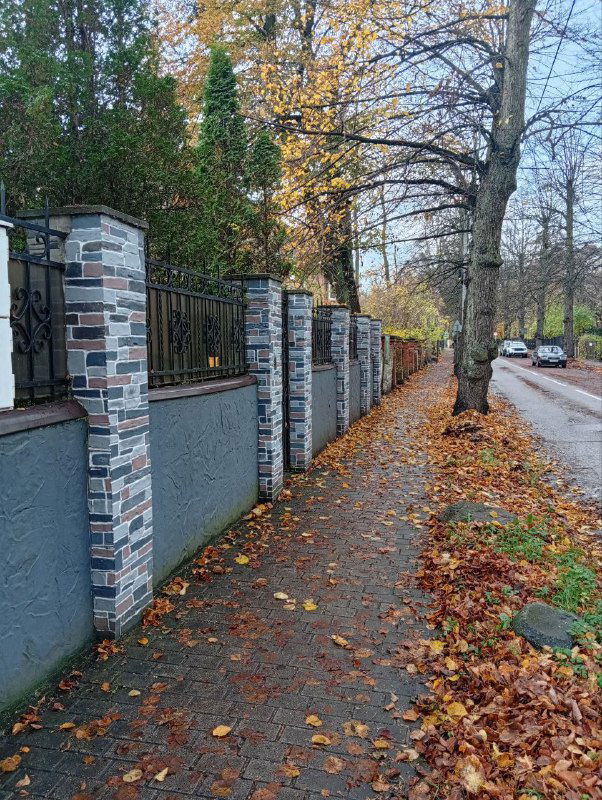 Зачем «выгуливать» мысли и как это делать с пользой