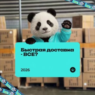 Панда‑маскот Panda28 перед стеллажами с коробками и бирюзовой табличкой «Быстрая доставка - всё?» — иллюстрация задержек в логистике Китай–Россия.