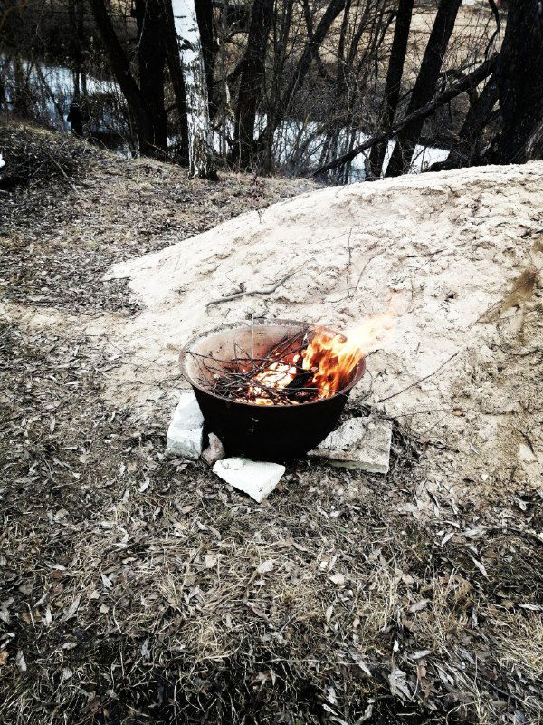 Обед на удалёнке))