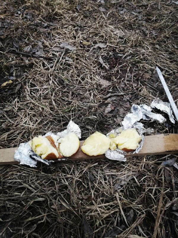 Куски хлеба и фольга на деревянной доске на земле — простой обед на природе во время удалённой работы, ветки и сухая трава вокруг.