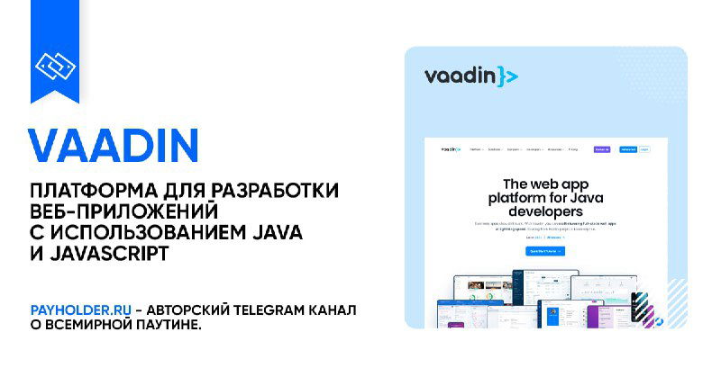 Как оплатить Vaadin из России — обзор сервиса