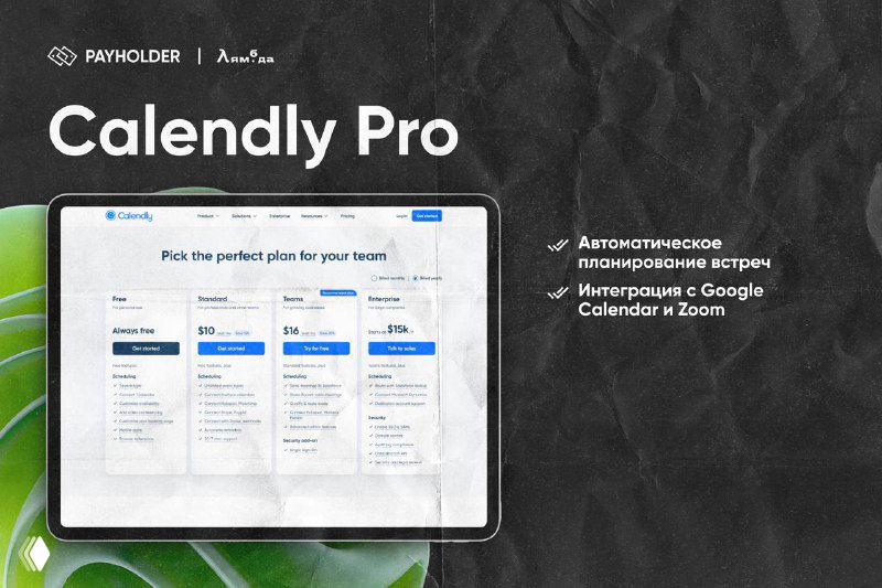 Скриншот Calendly Pro: страницы планирования встреч с вариантами расписаний и интеграциями с Google Calendar и Zoom.