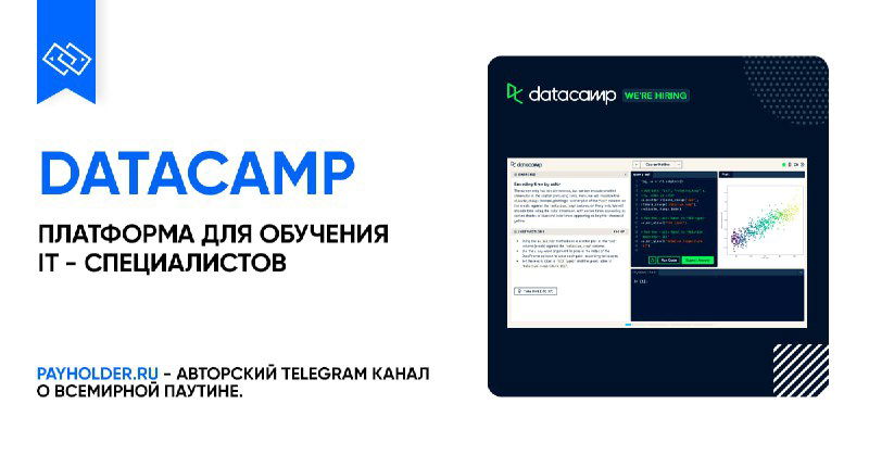 Плюсы и минусы сервиса DataCamp