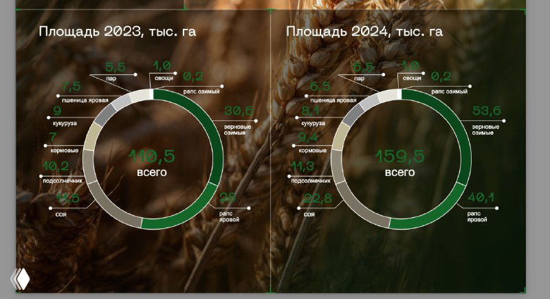 Пайчарты — не для сравнения