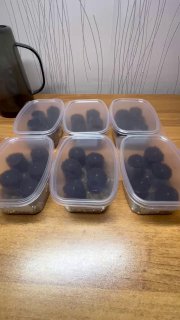 Прозрачные пластиковые контейнеры с тёмными шариками внутри, выложенные на деревянной поверхности — посевы перед закладкой на стратификацию.