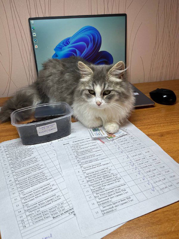 Меня начинает охватывать посевная лихорадка