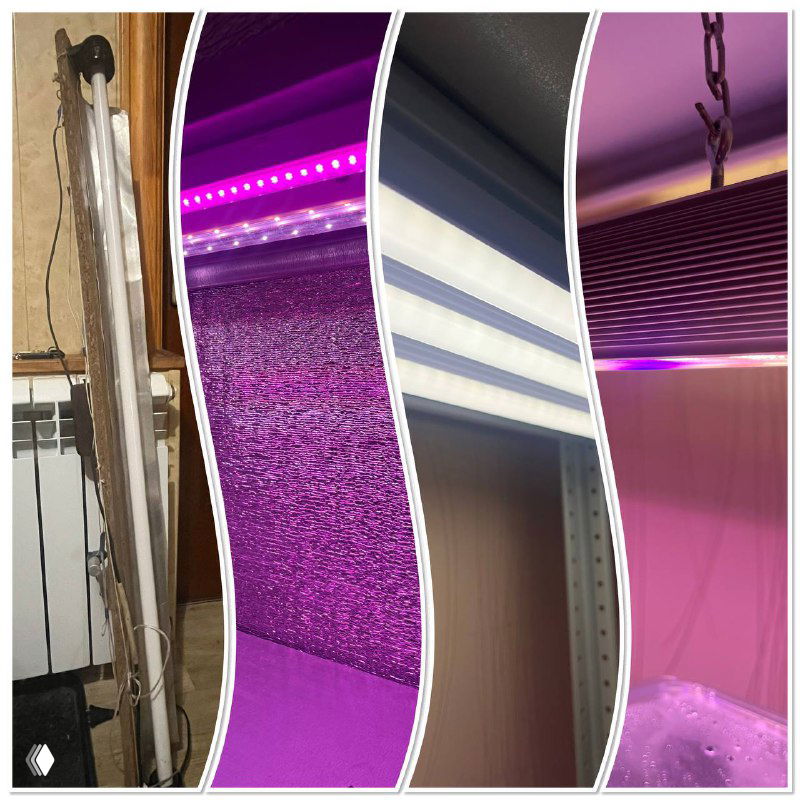 Эволюция ламп для выращивания растений