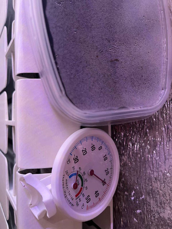 Гигрометр и контейнер с влажной почвой под фитолампой с фиолетовым свечением, крупный план для контроля влажности.