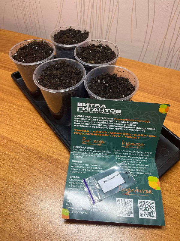 Битва гигантов 2026