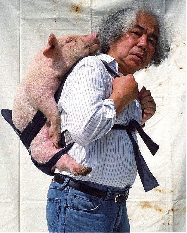 Пожилой мужчина несёт на плечах поросёнка; провокационный репортажный кадр с фольклорным мотивом и документальной манерой съёмки.