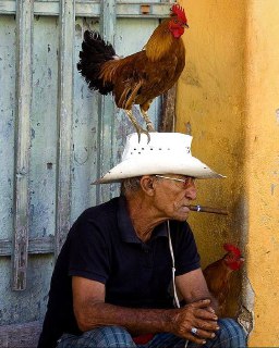 Уличный портрет пожилого мужчины с сигаретой и петухом на шляпе; колоритный репортажный кадр с ярким локальным колоритом.