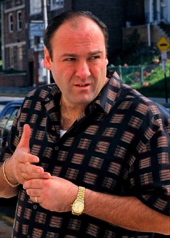 Тони Сопрано в рубашке с узором жестикулирует рукой, кадр передаёт экспрессию, характер и эмоциональную насыщенность сцен разговора.