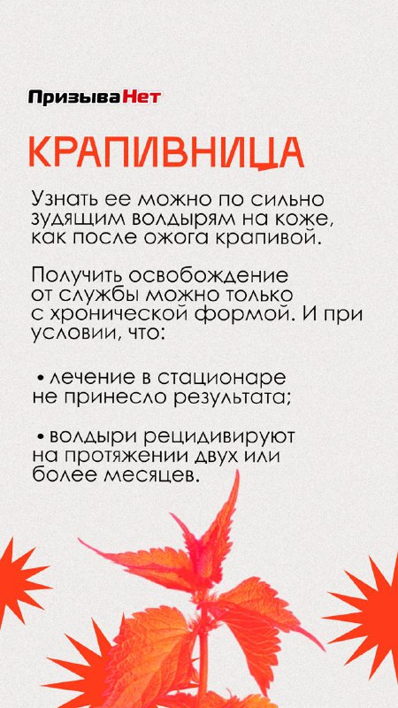 Инфографика от ПризываНет: «Крапивница» — волдыри и сильный зуд, краткое объяснение, когда это может служить основанием для освобождения от службы по здоровью.