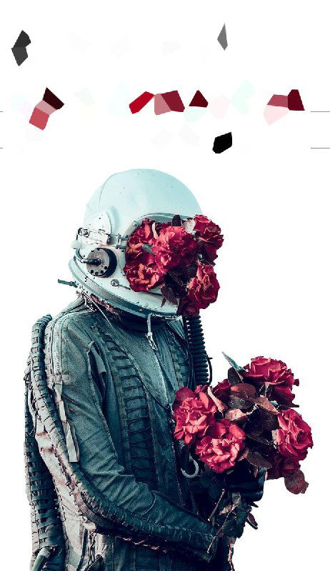 Сюрреалистическая обложка: астронавт в скафандре, вместо шлема — крупный букет тёмно‑красных роз; чёрно‑белая текстура костюма и яркие цветы.