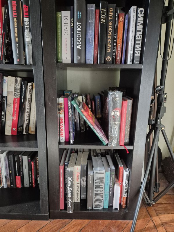 Два уровня полок с книгами разного размера; справа в кадре видно штатив и световое кольцо — домашняя обстановка библиотеки автора.