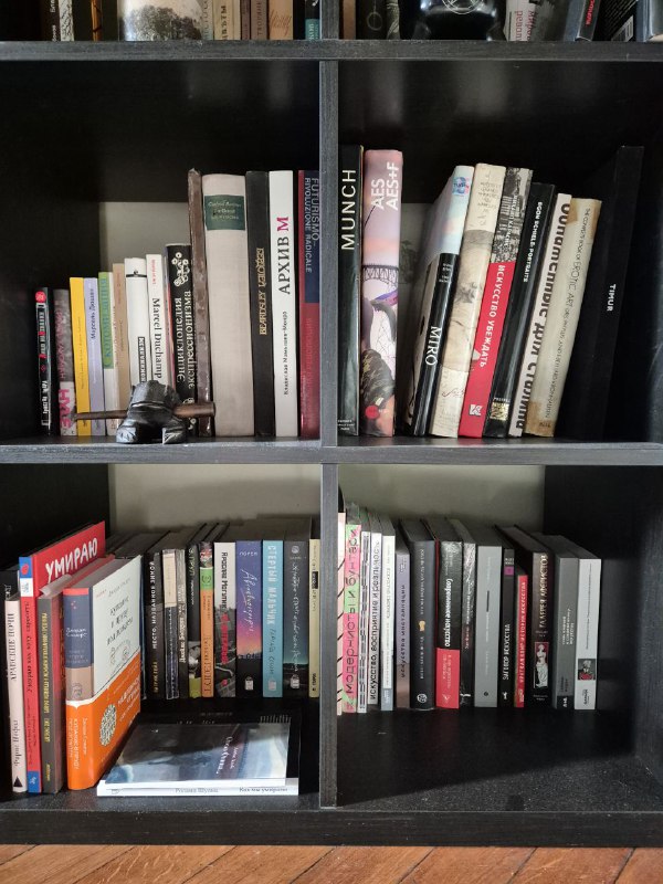 Чёрная секция с книгами в ряд и небольшими предметами на полках; видно разнообразие жанров и форматов в личной коллекции.