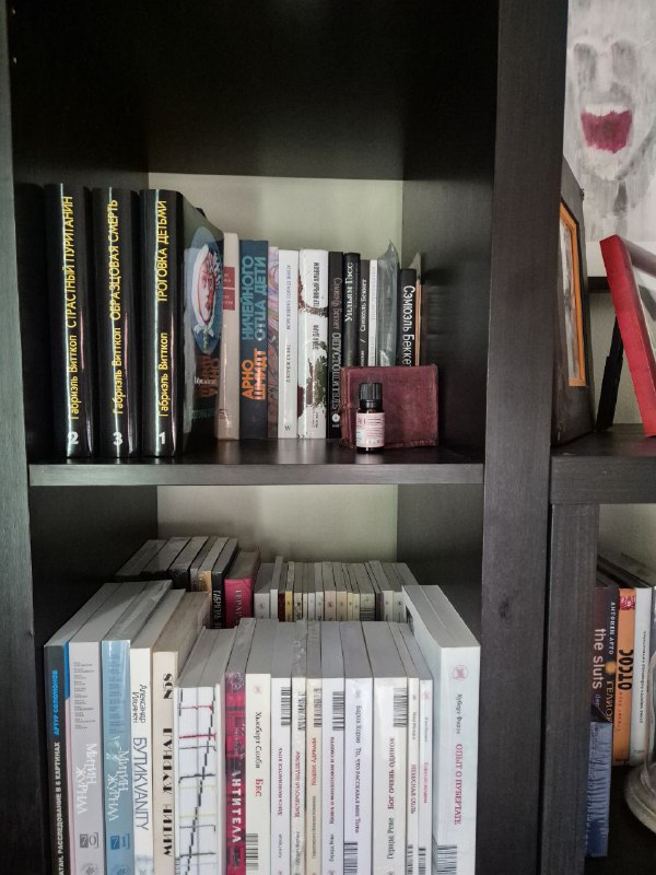 Полка с серией одинаковых переплётов слева и подборкой других книг справа; видна аккуратная расстановка и часть художественных изданий.