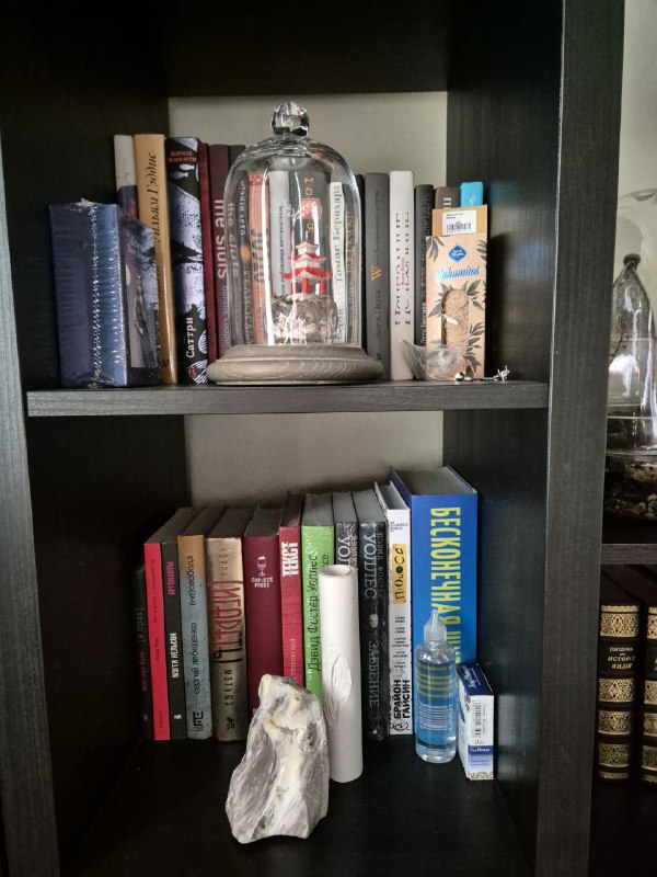 Средняя полка с книгами и предметами под куполом из стекла; на нижней полке — небольшая подборка нон-фикшн изданий и бутылочка воды.
