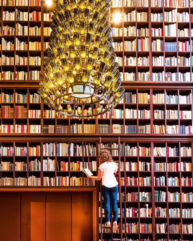 Посетитель у книжной лестницы в библиотеке отеля B2 в Цюрихе: люди среди стеллажей, ощущение пространства и масштаба коллекции.