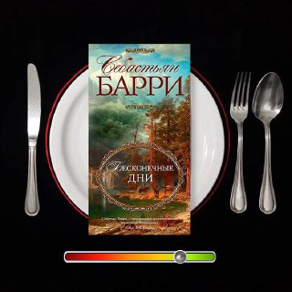 Бесконечные дни — рецензия на роман Себастьяна Барри