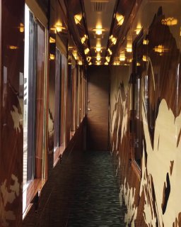 Коридор люксового вагона с глянцевыми стенами и зеркальными вставками, ряд потолочных светильников и узкая дорожка ковра для прохода.