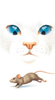 Обложка с крупным планом белой мордочки кота и бегущей крысы внизу; сочетание невинной миловидности и угрозы создаёт ироничный и тревожный тон.