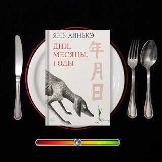 Дни, месяцы, годы — рецензия на Ян Лянькэ