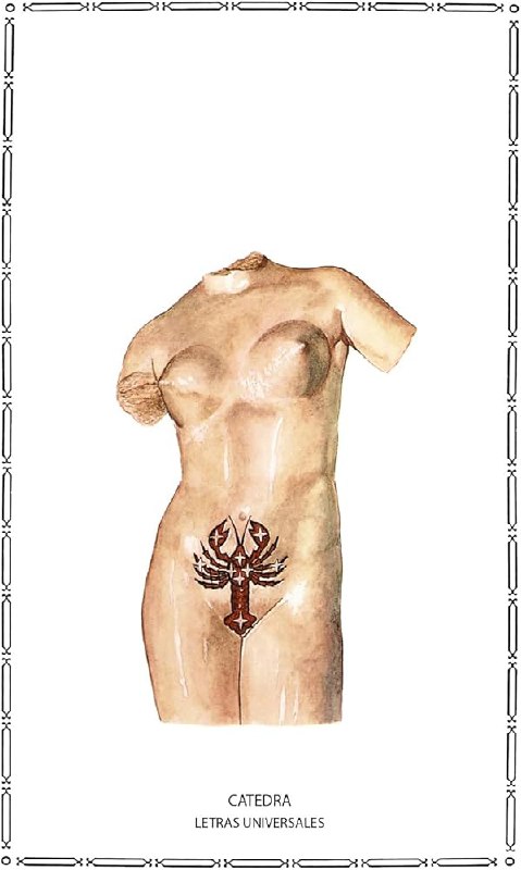 Обложка с женским торсом без головы, стилизованный рисунок и татуировка внизу — провокационный образ в подборке о сексуальности.