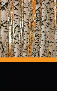 Книга по обложке: подборка на тему «Алкоголь(изм)»