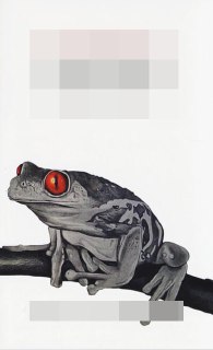 Серая обложка с крупным изображением жабы с ярко-красными глазами, сидящей на ветке; минималистичный фон и выразительная иллюстрация.