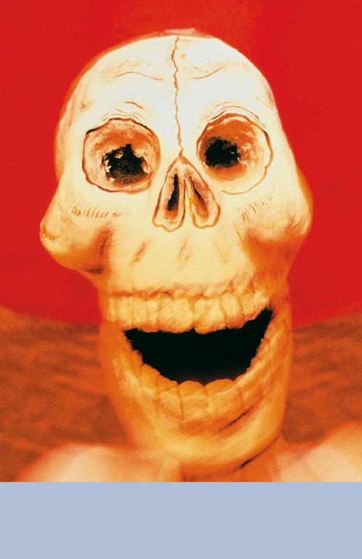 Красная обложка с крупным стилизованным черепом в центре и подчёркнутой улыбкой; сочетание мрачного и ироничного дизайна.