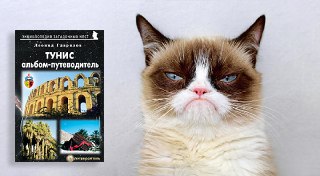 Тунис. Альбом-путеводитель — Леонид Гаврилов