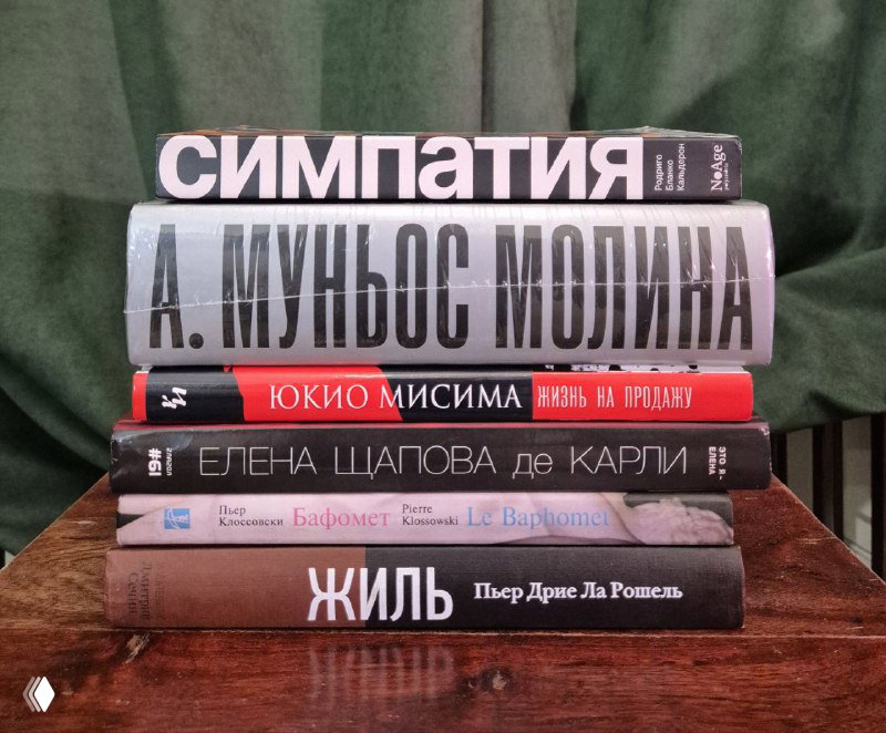 Стопка книг с крупными буквами на корешках: «Симпатия», «Бельтенеброс», «Жиль» — снимок для карточки продажи книг.