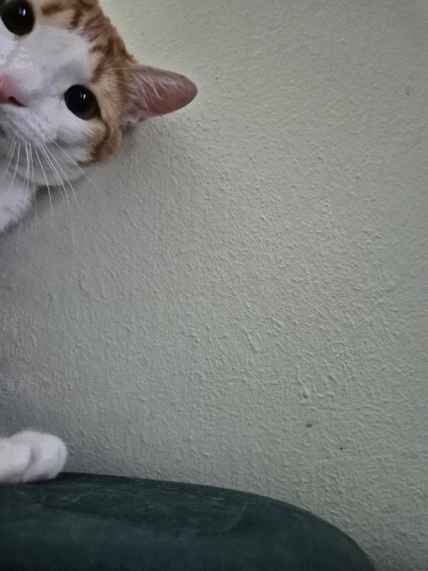 Два типа людей: про чтение Пруста