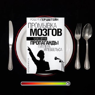 Промывка мозгов — рецензия на книгу Герцштейна