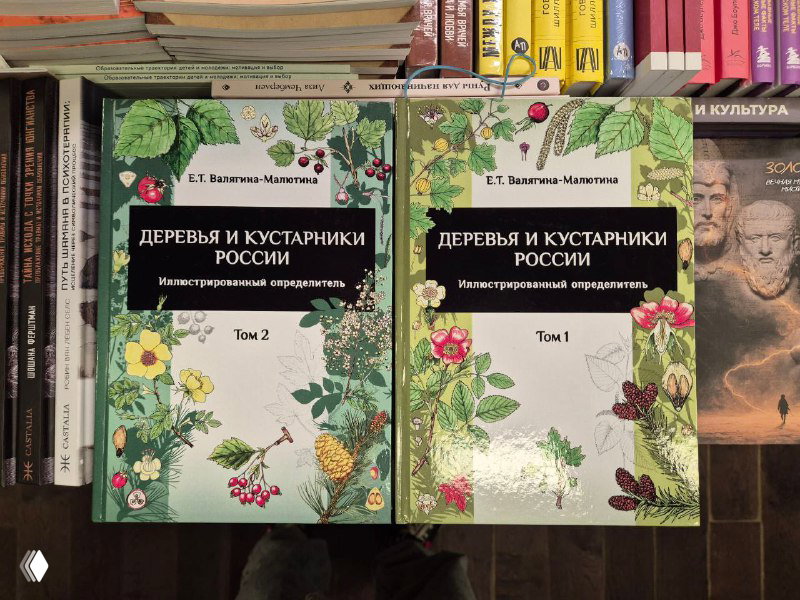 Два тома «Деревья и кустарники России» Валягиной‑Малютины аккуратно выставлены на столе в книжном магазине, видны ботанические иллюстрации на обложках.