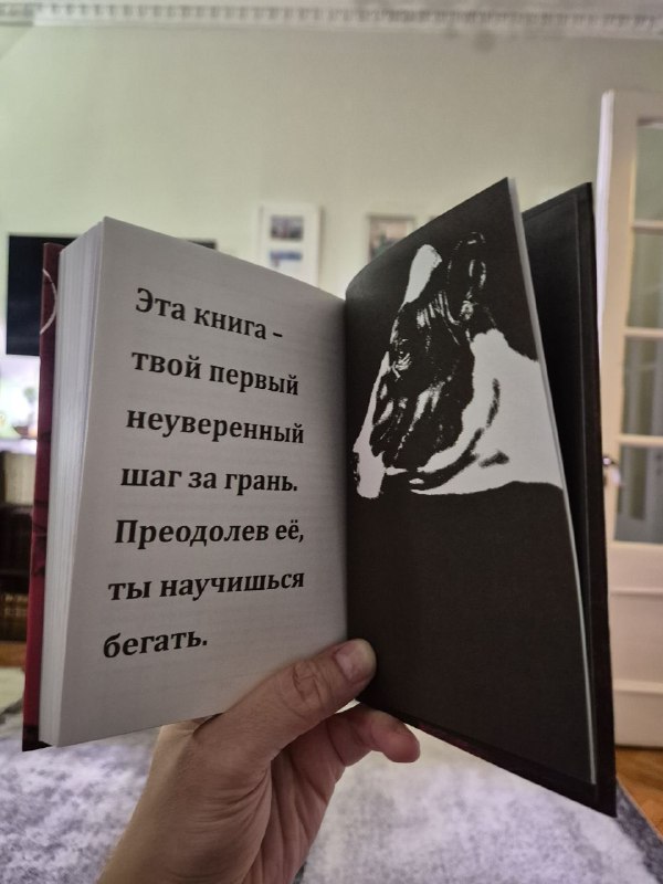 Разворот с текстом «Эта книга — твой первый неуверенный шаг за грань...» и крупной чёрно-белой графической иллюстрацией на фоне комнаты.