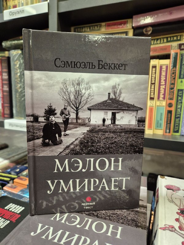 Книга «Мэлон умирает» Сэмюэля Беккета стоит на полке, коричнево-серая обложка с фотографией и названием на русском