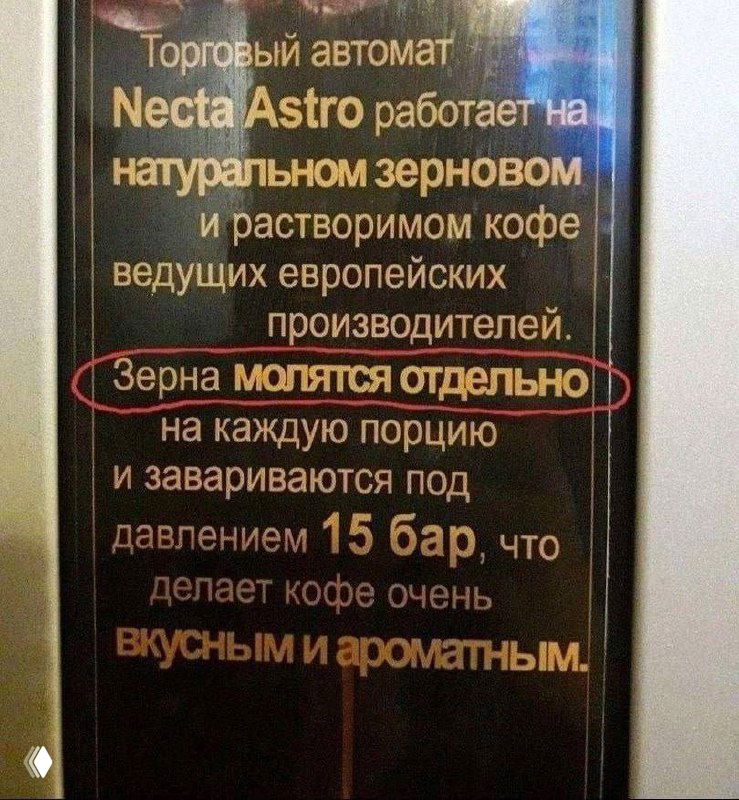 День русского языка: «Молилась ли ты на ночь?»