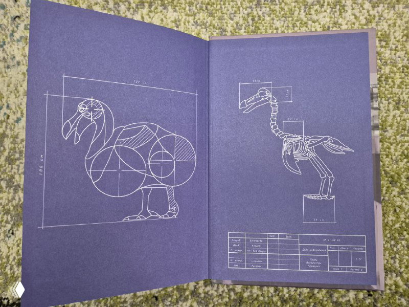 Открытая страница с белыми чертежными линиями фламинго на фиолетовом фоне — декоративная вставка из буклета