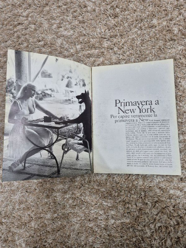 Разворот лукбука с текстом на английском и чёрно‑белой фотографией интерьера и модели — страница из весенней съемки 1995 года.