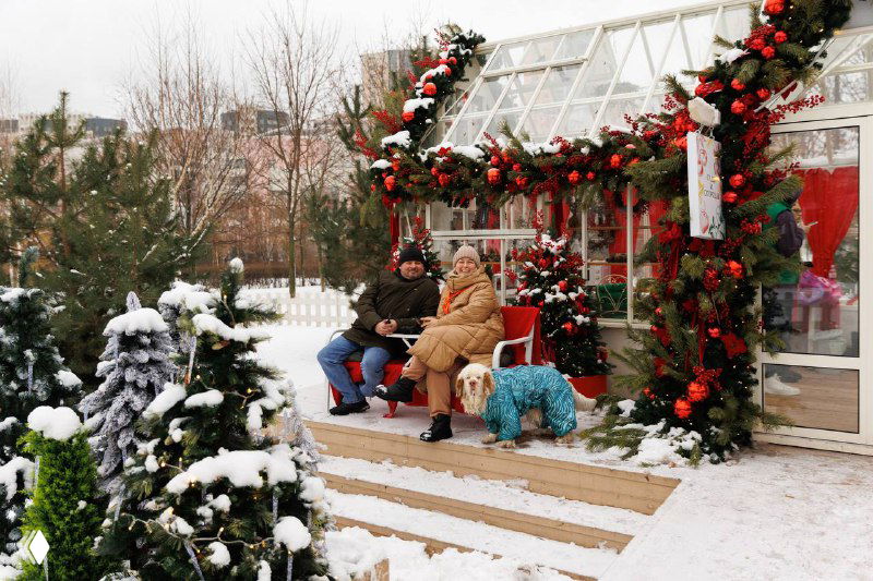 На ступеньках у входа в павильон сидят люди в зимней одежде; вокруг новогодние украшения и хвойные деревья в снегу.