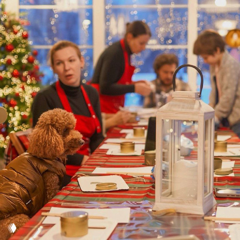 Мастер-класс или творческая зона: люди за столом внутри павильона, на столах поделки и бок о бок сидит собака в одежде.