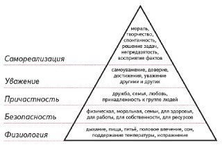 Голые фото, мат и продажи: взгляд маркетолога