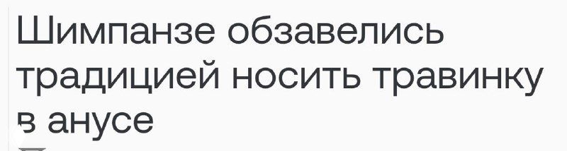 Жизнь в социуме соткана из предписаний и ограничений