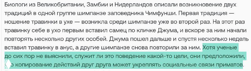 Скриншот абзаца с рассуждением о стыде, предписаниях и маркетинге; метафора травинки и бревна относительно человеческих норм и принадлежности.