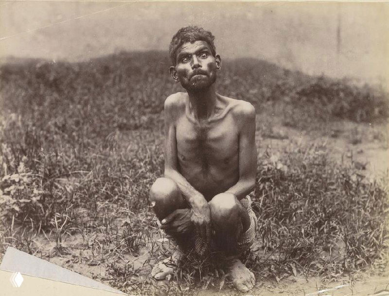 Дети-маугли: что есть человек?