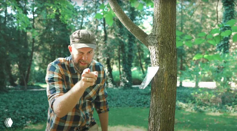 Мужчина в клетчатой рубашке указывает пальцем в камеру на фоне деревьев в парке — кадр, похожий на сцену обращения к зрителю в видеоклипе.