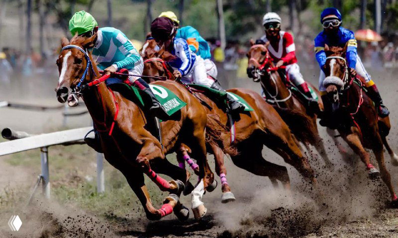 Наездники в ярких шлемах и скаковые лошади, мчящиеся по ипподрому в плотной группе, с поднятой пылью и напряжённой соревновательной динамикой.